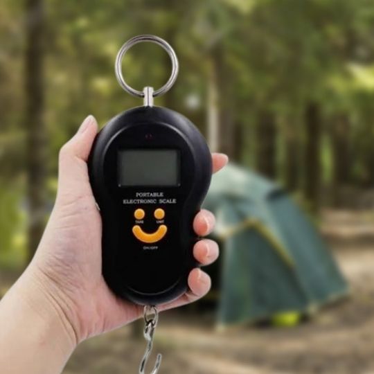 pese bagage balance numérique suspendue au camping