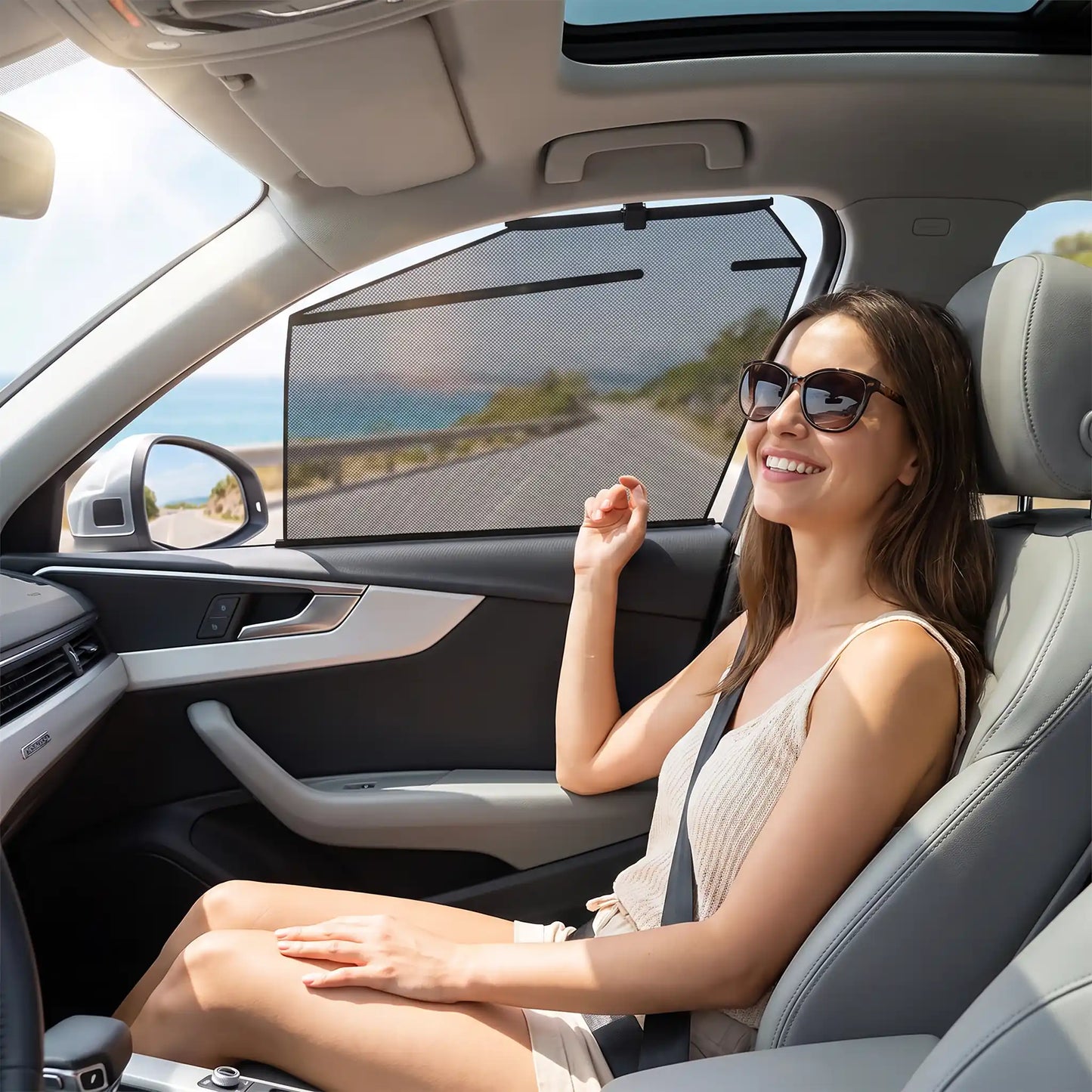 pare soleil voiture passagère