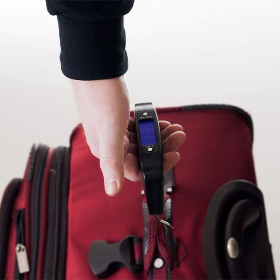 pese valise portable 50kg facile a utiliser